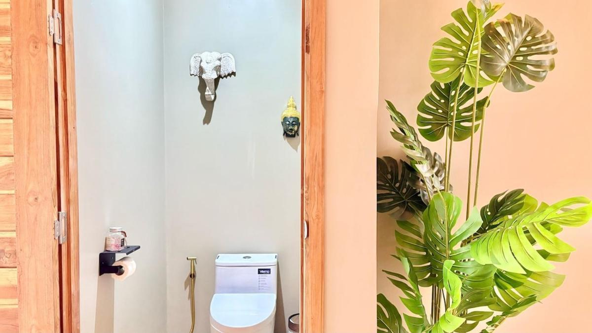 Villaer Carbana Lodge, Palmy Villa, Eco